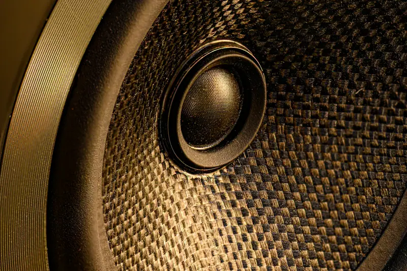 Close-up of a loudspeaker cone