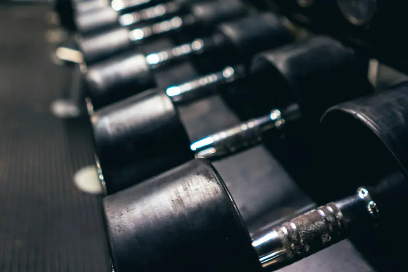 Row of dumbbells on a gym rack